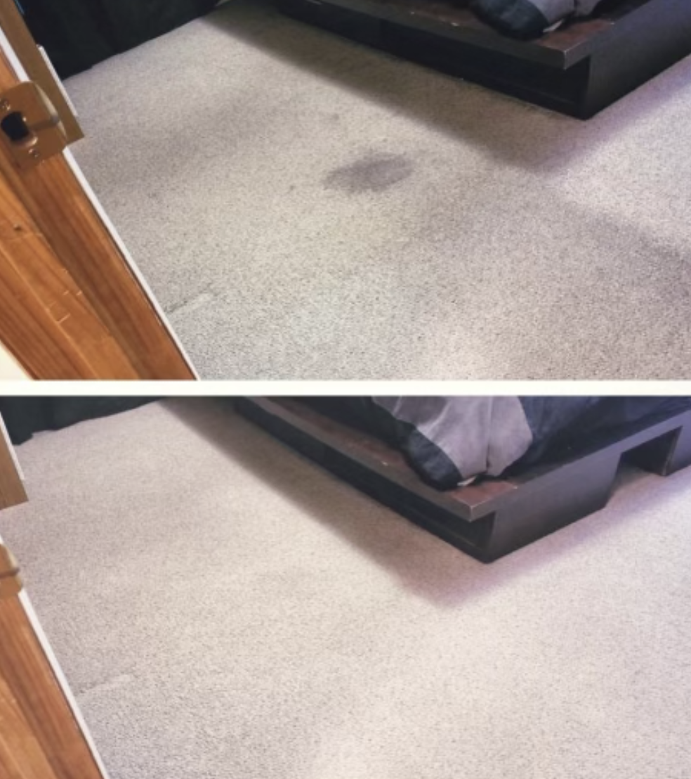 carpet cleaning long island